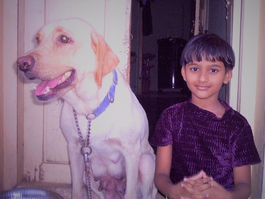 Image of a dog with keerthana raj